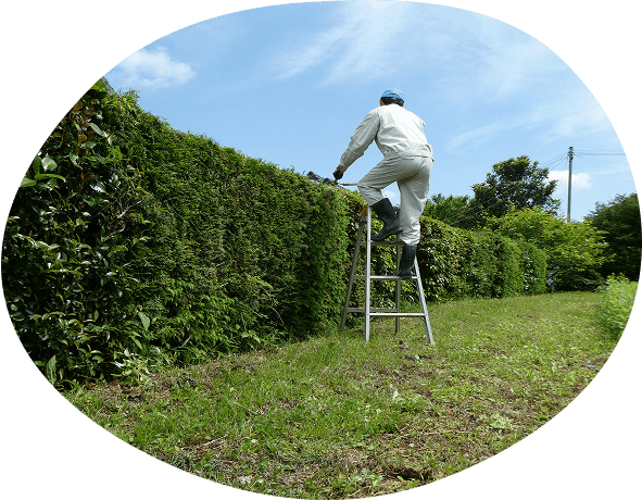 お庭に、値段適当 お庭のお手入れセンター｜庭木1本からOK！お電話だけでスムーズ対応！