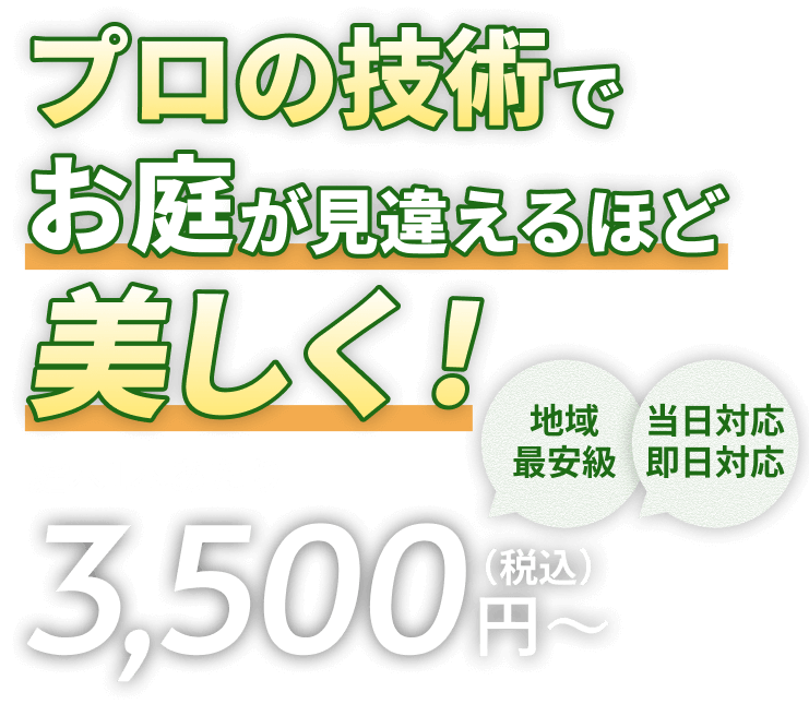 プロの技術でお庭が見違えるほど美しく！庭木1本あたり3,500円（税込）～ 地域最安級 当日対応 即日対応